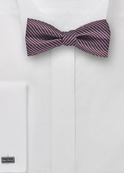 Papillion aus dem gleichen Stoff und Farbe