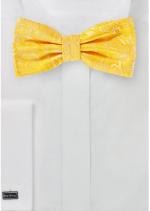 Papillon da uomo con disegno Paisley in...