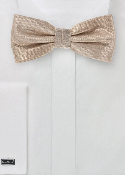 Papillion aus dem gleichen Stoff und Farbe
