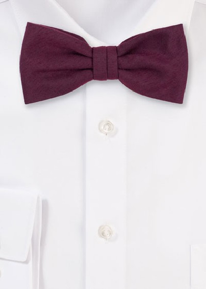 Papillion aus dem gleichen Stoff und Farbe