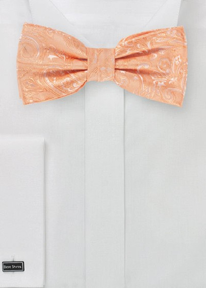 Papillion aus dem gleichen Stoff und Farbe