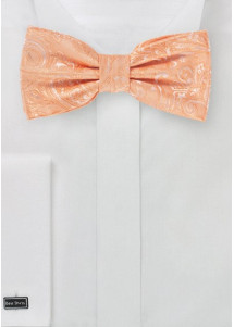 Papillon da uomo con motivo Paisley...