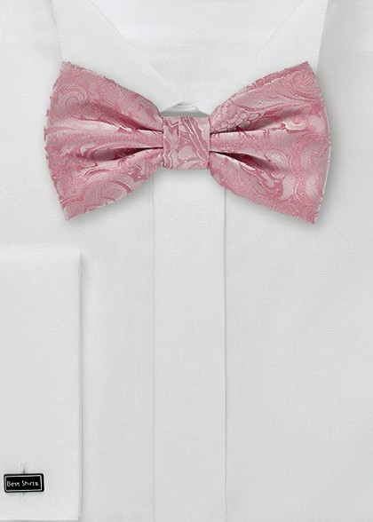Papillion aus dem gleichen Stoff und Farbe
