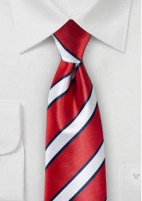 Cravatta da uomo con disegno tradizionale...