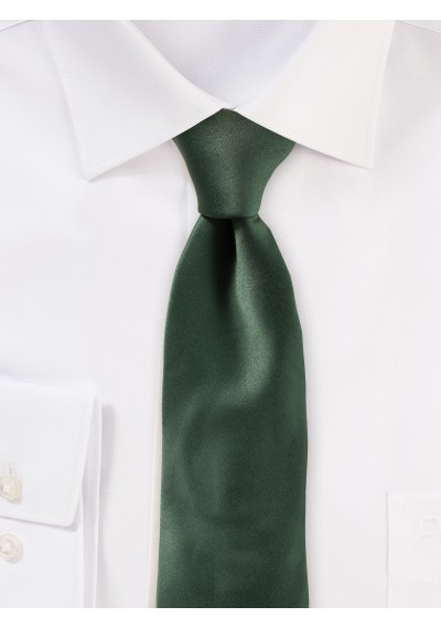 Cravatta di seta con lucentezza alla moda verde