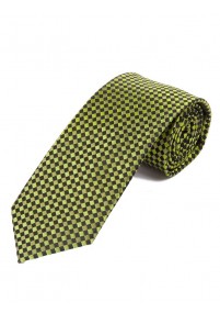Cravatta business alla moda struttura...