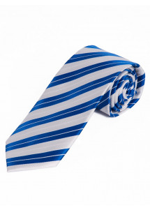 Cravatta a righe bianco blu