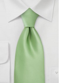 Cravatta Moulins verde chiaro