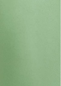 Krawatte grasgrün unifarben