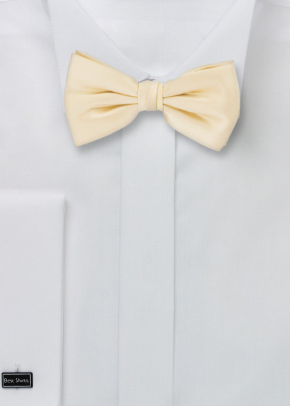 Papillion aus dem gleichen Stoff und Farbe
