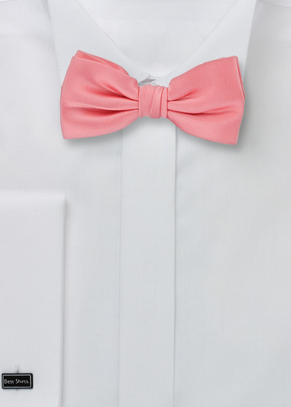 Papillion aus dem gleichen Stoff und Farbe