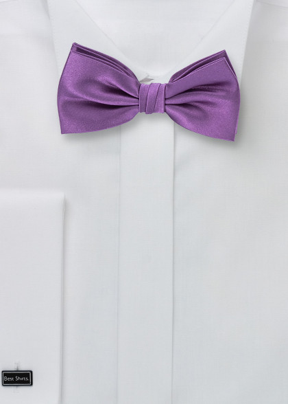 Papillion aus dem gleichen Stoff und Farbe