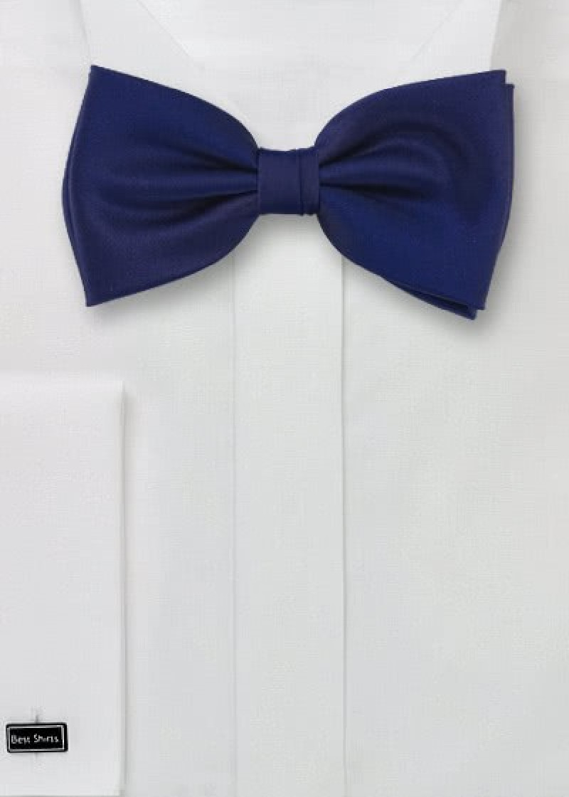 Farfalla blu scuro
