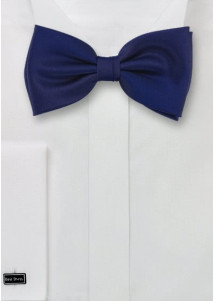 Farfalla blu scuro
