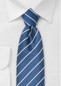 Cravatta business blu regale