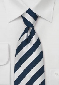 Cravatta business Identity argento blu