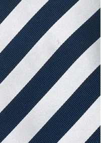 Cravatta business Identity argento blu