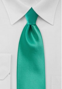 Cravatta di sicurezza a tinta unita verde...