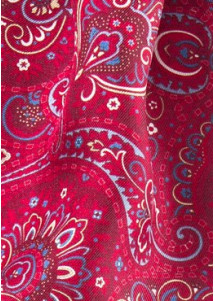Ascot rot Ranken-Pattern