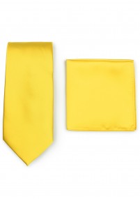 Set di cravatte e scialli decorativi da...