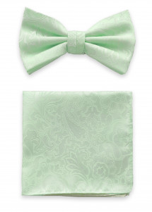 Papillon e fazzoletto da taschino verde...