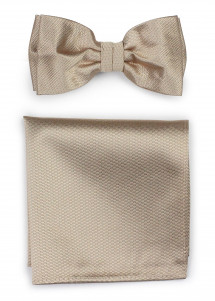 Combinazione papillon da uomo con scialle...