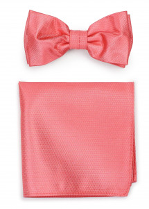 Papillon con foulard decorativo...