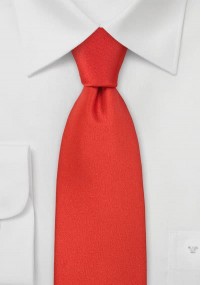 Cravatta  rossa