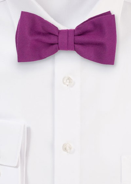 Papillion aus dem gleichen Stoff und Farbe