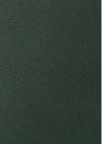 Cravatta liscia Luxury in verde scuro