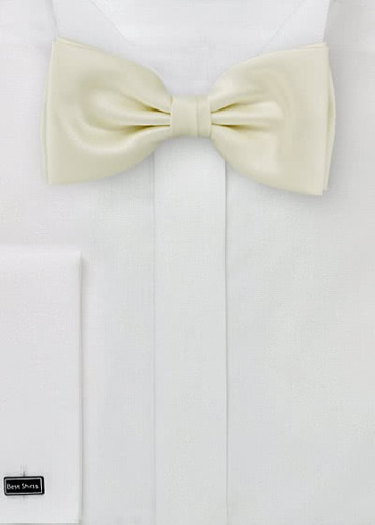 Papillion aus dem gleichen Stoff und Farbe