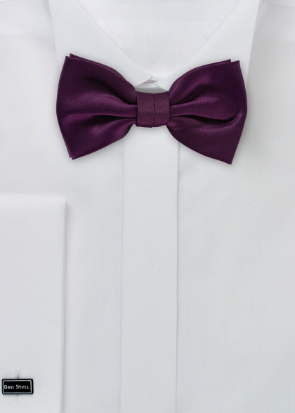 Papillion aus dem gleichen Stoff und Farbe