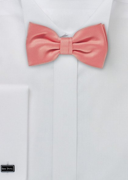 Papillion aus dem gleichen Stoff und Farbe