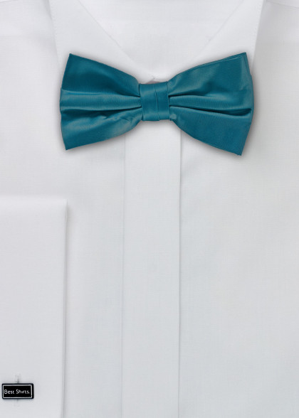 Papillion aus dem gleichen Stoff und Farbe