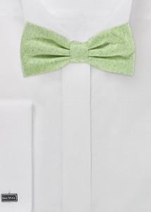 Papillon verde chiaro screziato