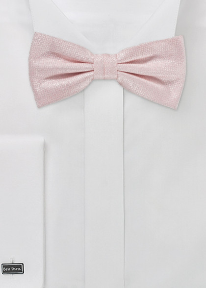 Papillion aus dem gleichen Stoff und Farbe
