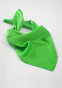 Foulard verde seta