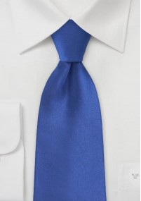 Cravatta blu regale