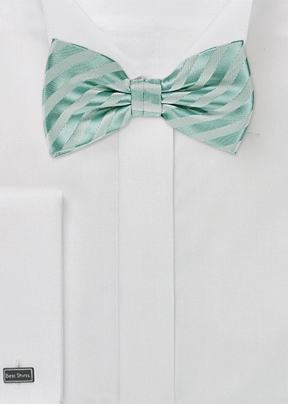 Papillion aus dem gleichen Stoff und Farbe