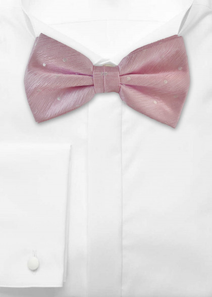 Papillion aus dem gleichen Stoff und Farbe