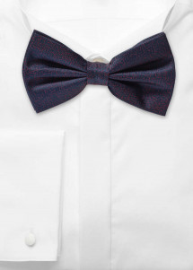 Papillon navy screziato
