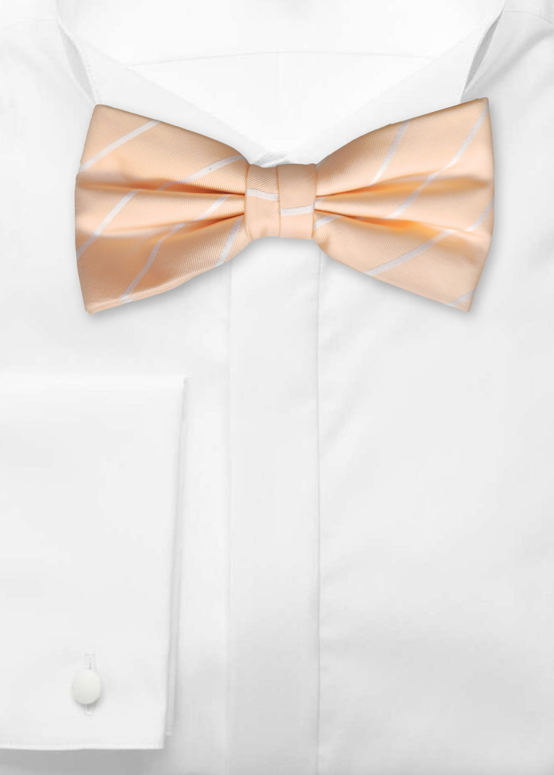 Papillon a righe salmone