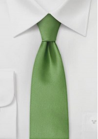 Cravatta microfibra verde