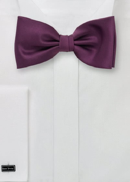Fliege aubergine