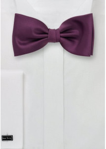 Fliege aubergine
