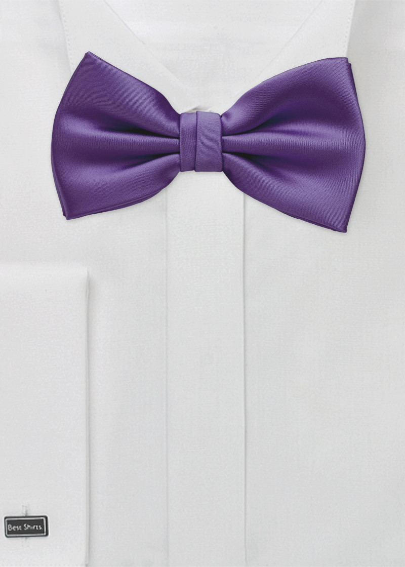 Papillon liscio in viola