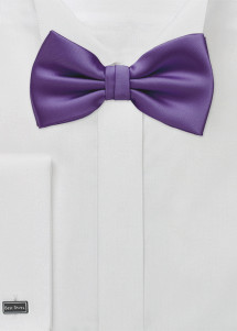 Papillon liscio in viola
