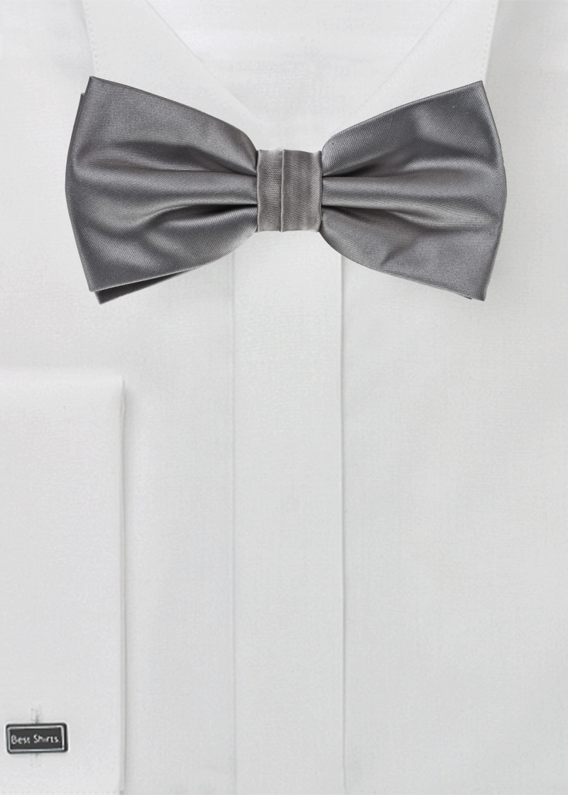 Papillon grigio argento
