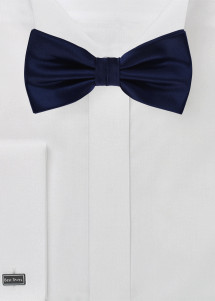 Papillon blu notte