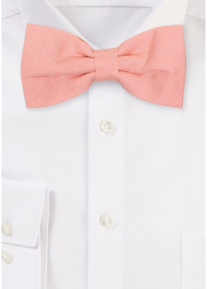 Papillion aus dem gleichen Stoff und Farbe
